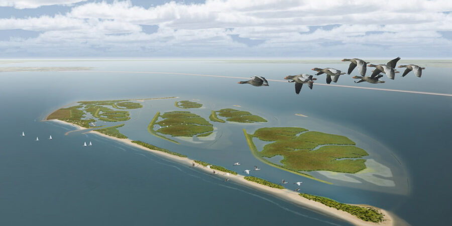Markerwadden