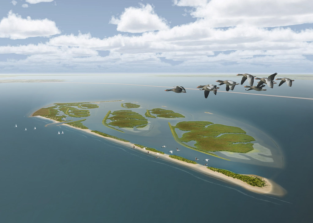 Markerwadden